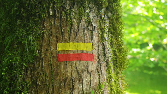 Inauguration du GR® de Pays Monts et Barrages en Limousin