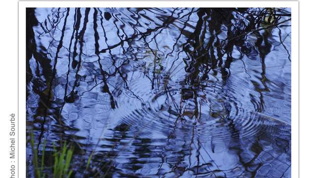 Exposition à Bouricos : l'Eau