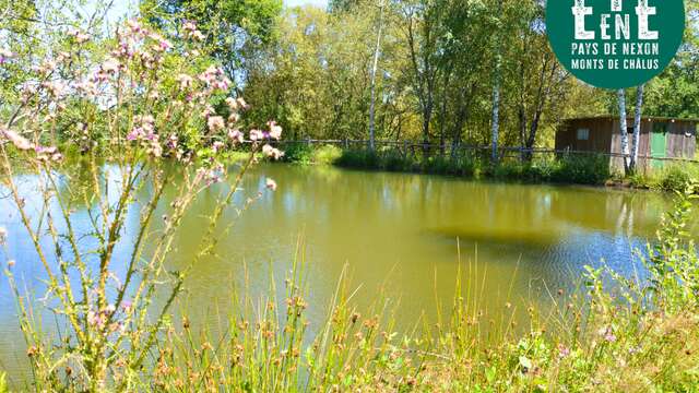 Sortie nature - La princesse et la grenouille