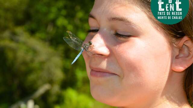 Sortie nature - Le petit monde de la rivière