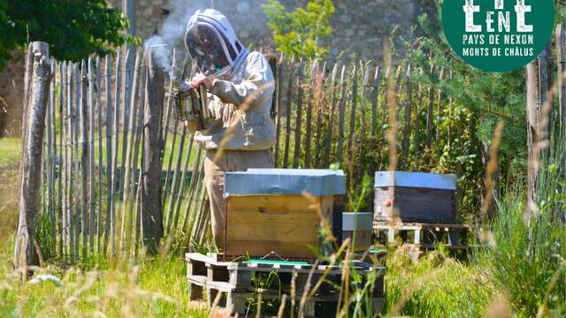 À la rencontre des producteurs - La miellerie Paysages de Miels