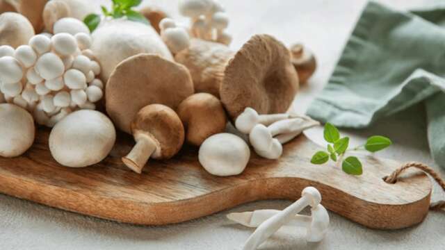 Cours de cuisine : Les champignons de nos bois