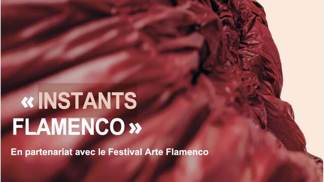 Instant Flamenco