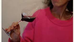 Les Papilles du vin