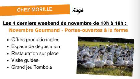 Novembre gourmand - porte ouvertes à la ferme