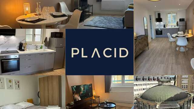 Le Pavillon - Hyper centre - Charme Rénové