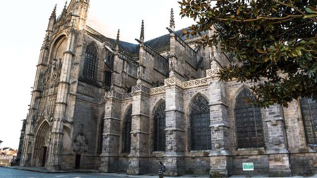 Cathédrale Saint-Etienne