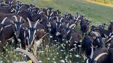 La Ferme collective de la Tournerie fête ses 10 ans : Conférences