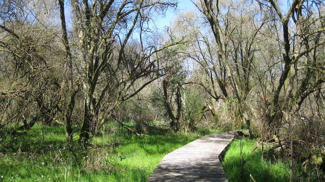 Sentier de la Mazelle