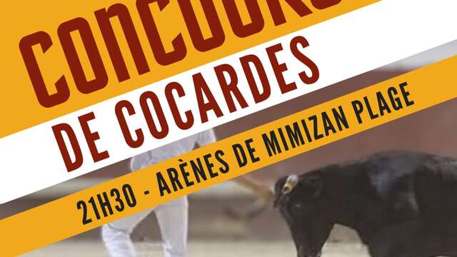 Course à la cocarde