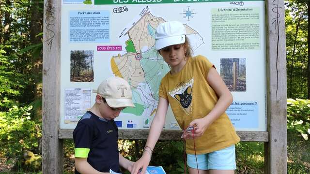 Parcours permanent d'orientation - Forêt des Allois