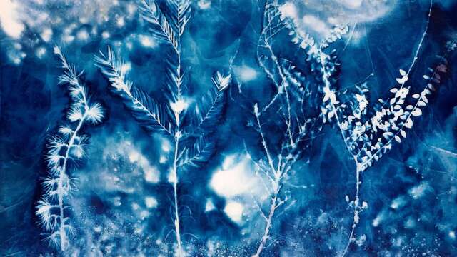 Atelier - Cyanotype