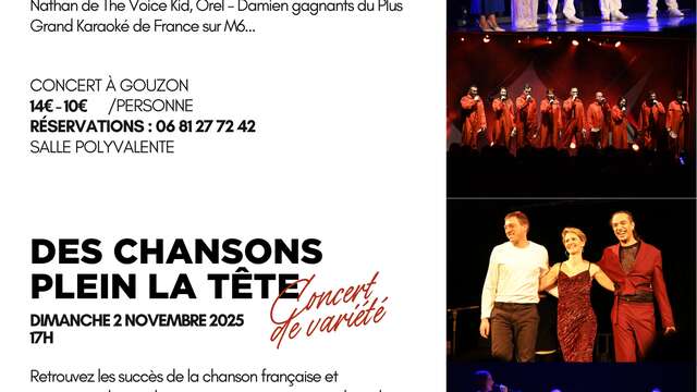 Des chansons plein la tête