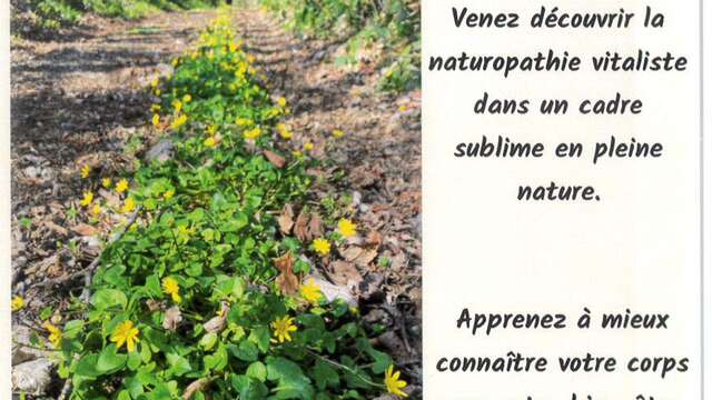 Les chemins hauts : séjours naturopathiques