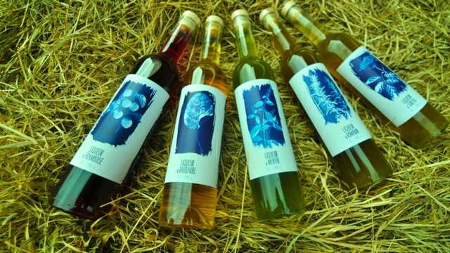 À la rencontre des producteurs : La Distillerie Dandelion
