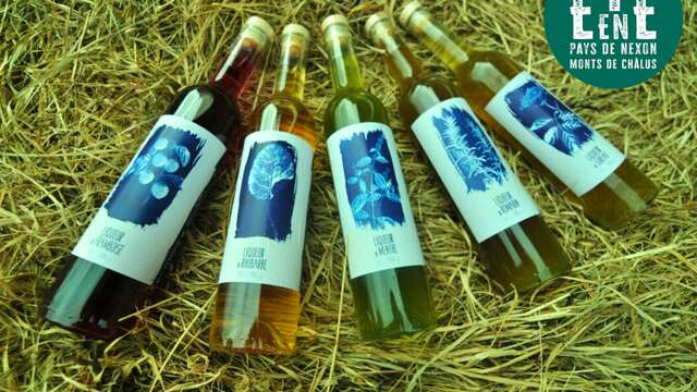 À la rencontre des producteurs - La Distillerie Dandelion