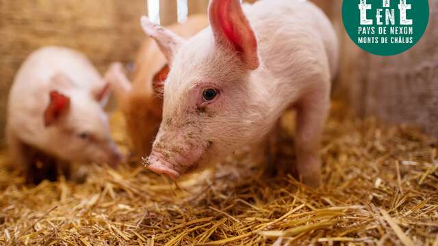 À la rencontre des producteurs - Au pré de mon arbre