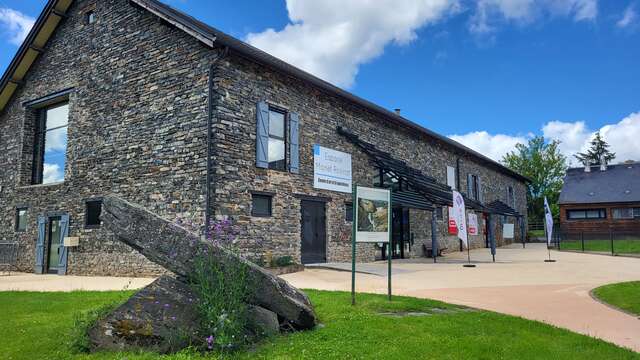 Atelier Impressionnisme : la loi des séries