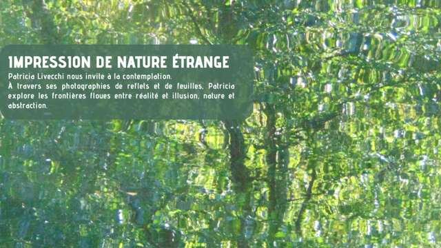 Exposition : Impression de nature étrange