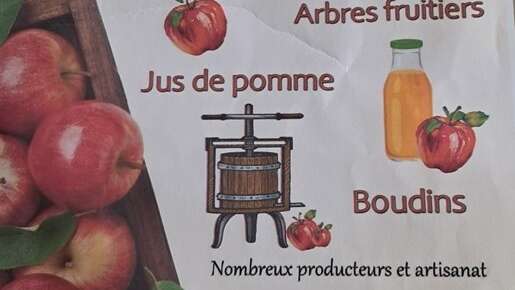 Fête de la pomme