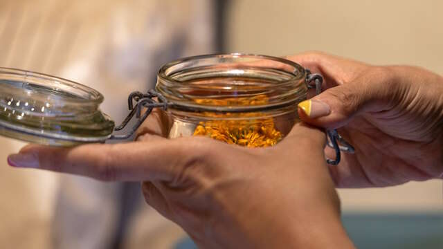 Découvrez les bienfaits des plantes sauvages - Août