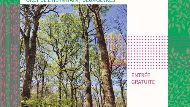 Escapade en forêt