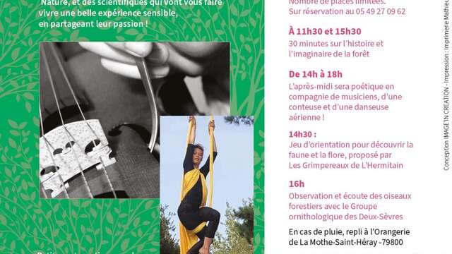 Une nuit dans les bras des arbres