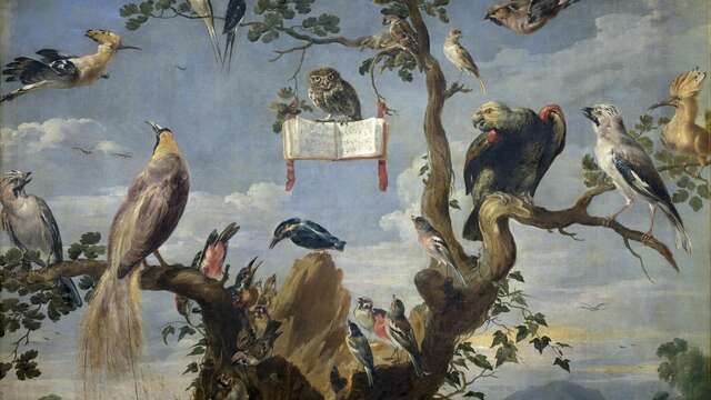 Exposition "Langues empruntées"