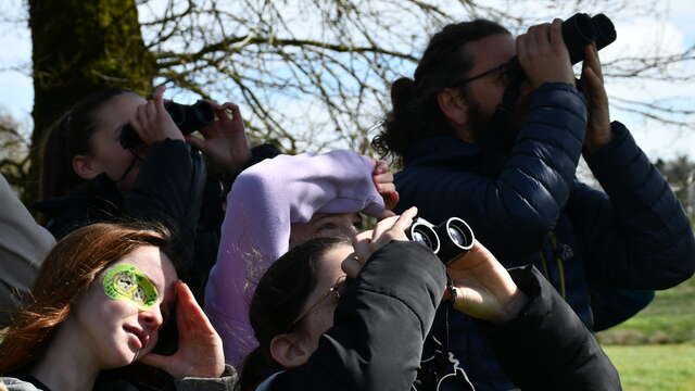 Balade matri·patrimoine - Habiter en oiseau