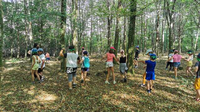Sortie avec la maison de la nature - Forêt sensorielle