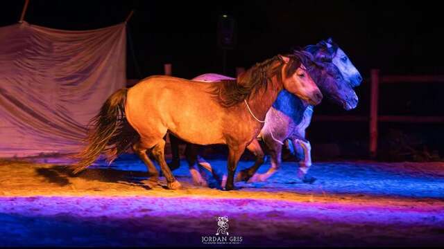 Spectacle Équin et Marché de Producteurs et Artisans à Blond
