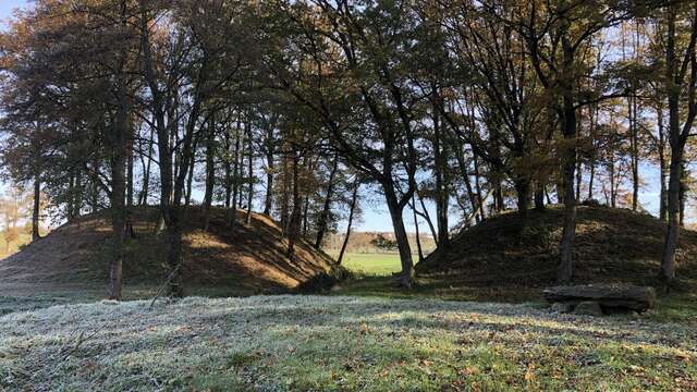 Mottes castrales de l'an Mil