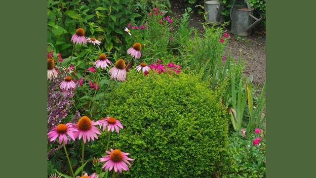 Visite guidée "Le jardin de Michel et Jacqueline"