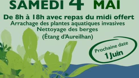 Journée Ecocitoyenne - Arrachage des plantes aquatiques invasives