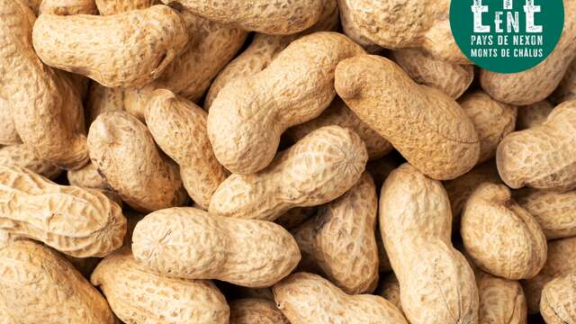 À la rencontre des artisans - La torréfaction Cahu