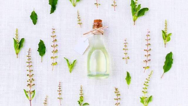 À la rencontre des producteurs : La Compagnie des Simples