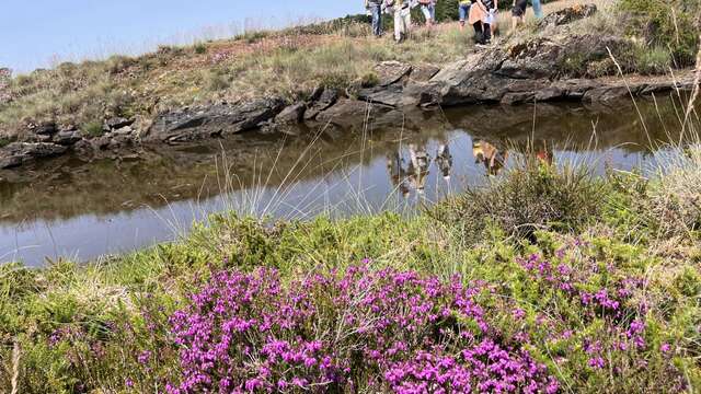 Tèrra Aventura : Une roche venue des profondeurs de l’histoire