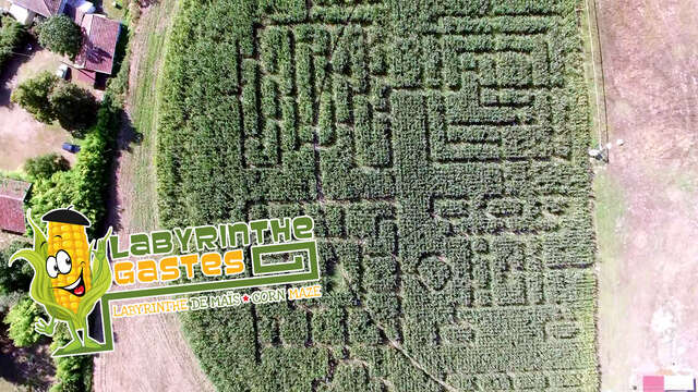 Labyrinthe de Maïs