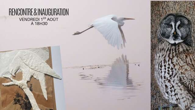 Exposition Les Oiseaux