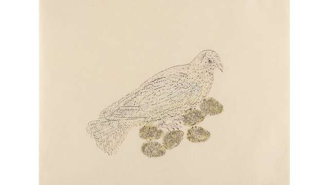 Exposition au Bel Ordinaire: Les animaux ne portent pas de chaussures