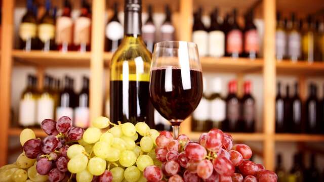 Vignoble VIN NU : visite guidée & dégustations