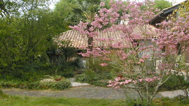 Promenade accompagnée dans les "jardins secrets" de Line et Yvan