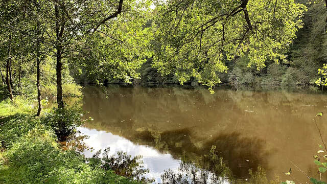Parcours Pêche Carpe de nuit sur la Vienne à Saint-Léonard de Noblat