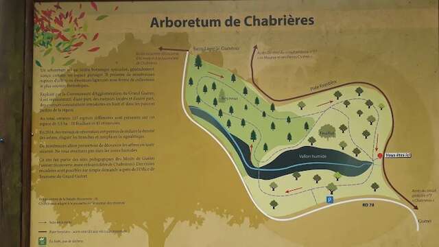 Découverte de l'arboretum de Chabrières