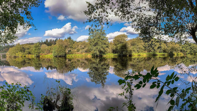 Parcours Pêche Carpe de nuit sur la Vienne à Royères