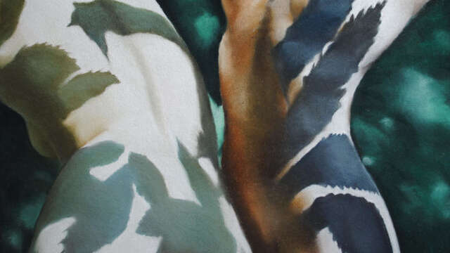 Stage de pastel avec Michel LECLERCQ