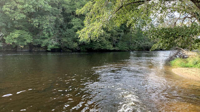 Parcours de pêche sur la Vienne du Moulin du Got