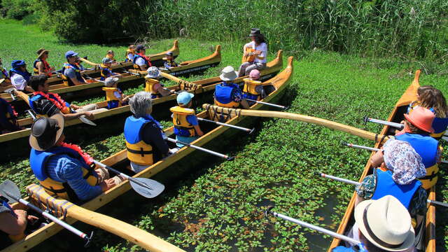 Contes et légendes en pirogue hawaïenne