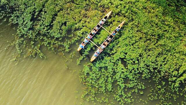 Balade de printemps en pirogue hawaiënne