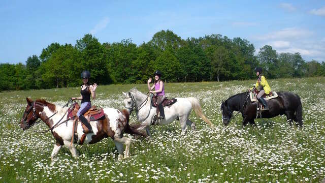 Centre équestre - Moulin d'Aiguemarde